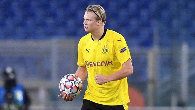 来自西亚的 来自西亚的